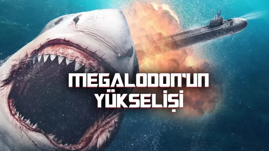 Ribon’un Yükselişi: Sağlık Yönetiminde Devrim